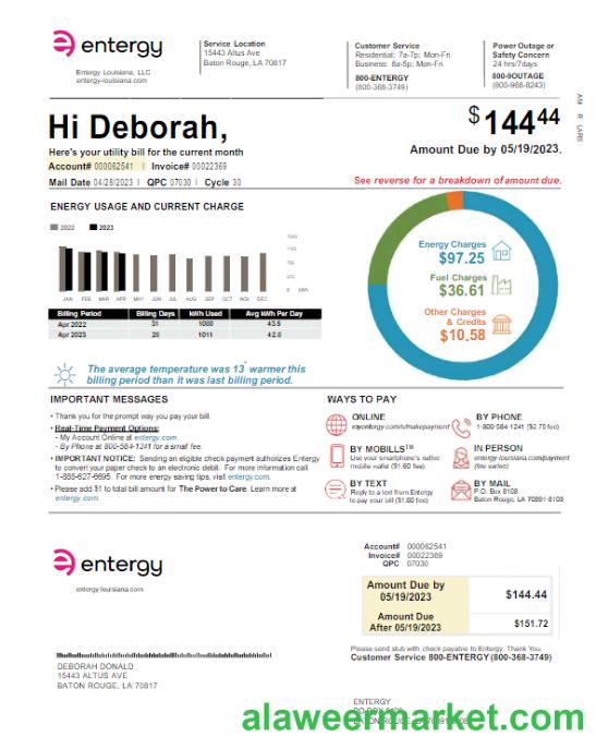 USA ENTERGY utility bill Word and PDF template